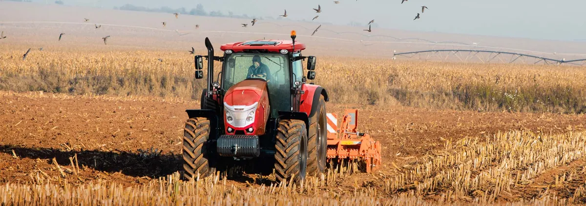 McCormick X6.618